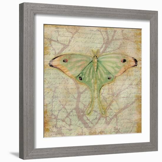 Vintage Butterflies III-Paul Brent-Framed Art Print