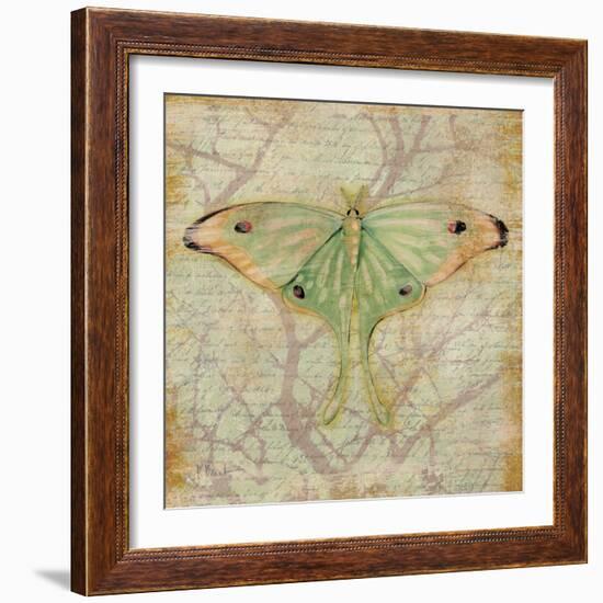 Vintage Butterflies III-Paul Brent-Framed Art Print