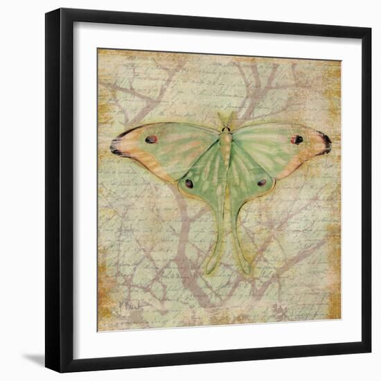 Vintage Butterflies III-Paul Brent-Framed Art Print