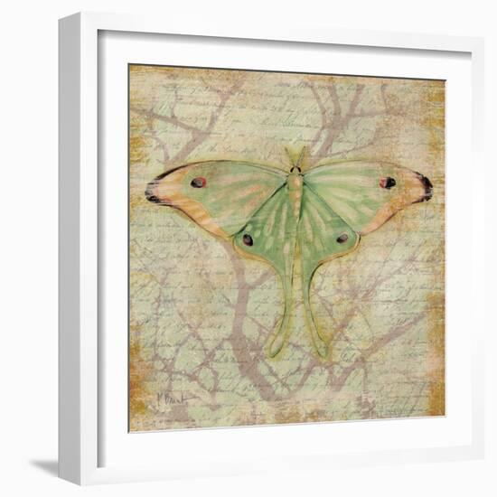 Vintage Butterflies III-Paul Brent-Framed Art Print