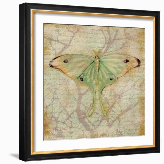 Vintage Butterflies III-Paul Brent-Framed Art Print