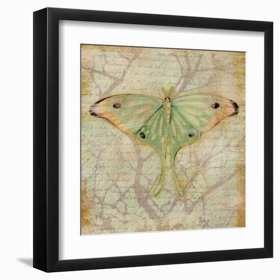 Vintage Butterflies III-Paul Brent-Framed Art Print