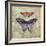 Vintage Butterflies IV-Paul Brent-Framed Art Print