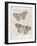Vintage Butterflies on Newsprint-Wild Apple Portfolio-Framed Art Print