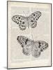 Vintage Butterflies on Newsprint-Wild Apple Portfolio-Mounted Art Print