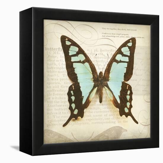 Vintage Butterfly I-Amy Melious-Framed Stretched Canvas