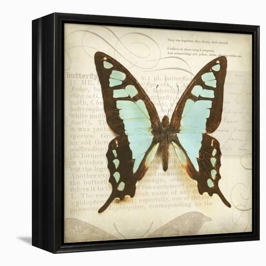 Vintage Butterfly I-Amy Melious-Framed Stretched Canvas