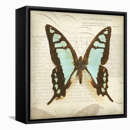 Vintage Butterfly I-Amy Melious-Framed Stretched Canvas