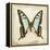 Vintage Butterfly I-Amy Melious-Framed Stretched Canvas