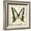 Vintage Butterfly I-Amy Melious-Framed Art Print