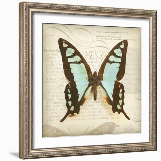 Vintage Butterfly I-Amy Melious-Framed Art Print