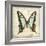 Vintage Butterfly I-Amy Melious-Framed Art Print