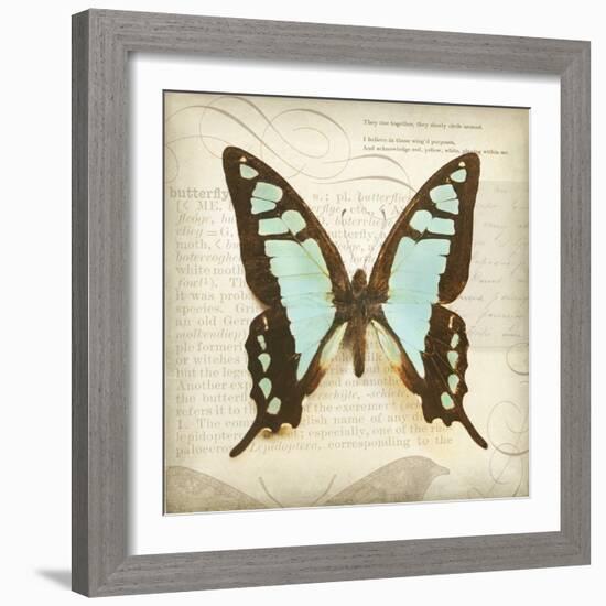 Vintage Butterfly I-Amy Melious-Framed Art Print