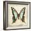 Vintage Butterfly I-Amy Melious-Framed Art Print