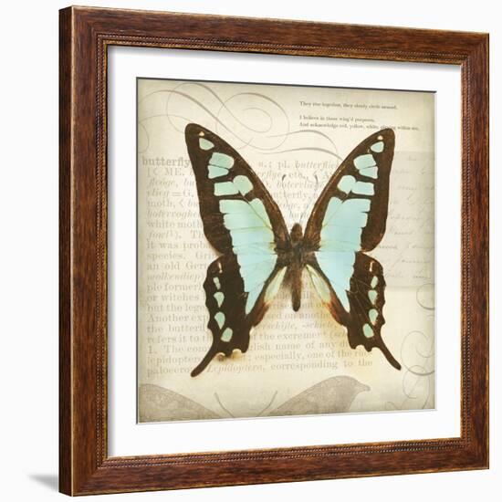 Vintage Butterfly I-Amy Melious-Framed Art Print