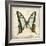 Vintage Butterfly I-Amy Melious-Framed Art Print