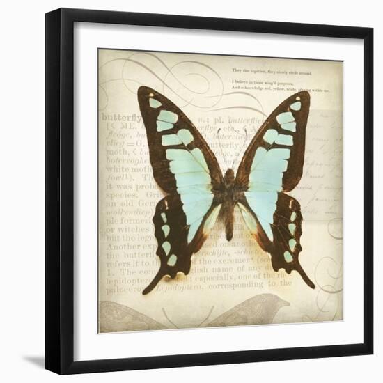 Vintage Butterfly I-Amy Melious-Framed Art Print