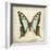 Vintage Butterfly I-Amy Melious-Framed Art Print