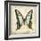 Vintage Butterfly I-Amy Melious-Framed Art Print