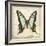 Vintage Butterfly I-Amy Melious-Framed Art Print