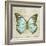 Vintage Butterfly II-Amy Melious-Framed Art Print