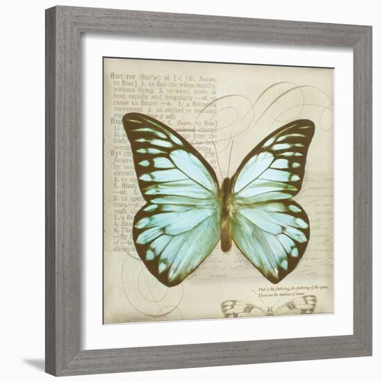 Vintage Butterfly II-Amy Melious-Framed Art Print