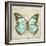 Vintage Butterfly II-Amy Melious-Framed Art Print