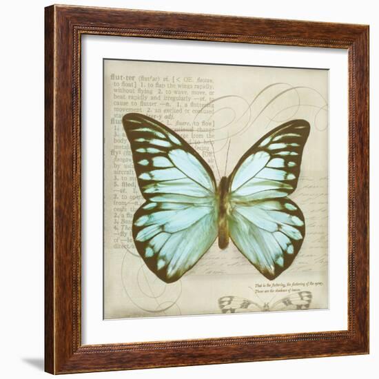 Vintage Butterfly II-Amy Melious-Framed Art Print