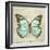 Vintage Butterfly II-Amy Melious-Framed Art Print