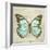 Vintage Butterfly II-Amy Melious-Framed Art Print