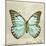 Vintage Butterfly II-Amy Melious-Mounted Art Print