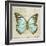 Vintage Butterfly II-Amy Melious-Framed Art Print