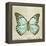 Vintage Butterfly II-Amy Melious-Framed Stretched Canvas