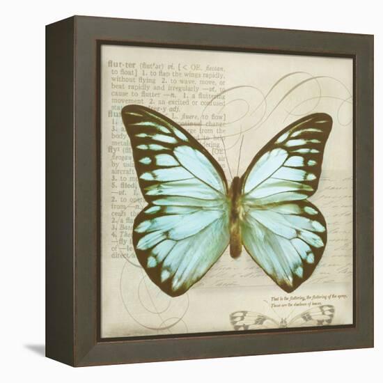 Vintage Butterfly II-Amy Melious-Framed Stretched Canvas