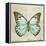 Vintage Butterfly II-Amy Melious-Framed Stretched Canvas