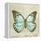 Vintage Butterfly II-Amy Melious-Framed Stretched Canvas