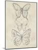 Vintage Butterfly Sketch II-June Erica Vess-Mounted Art Print