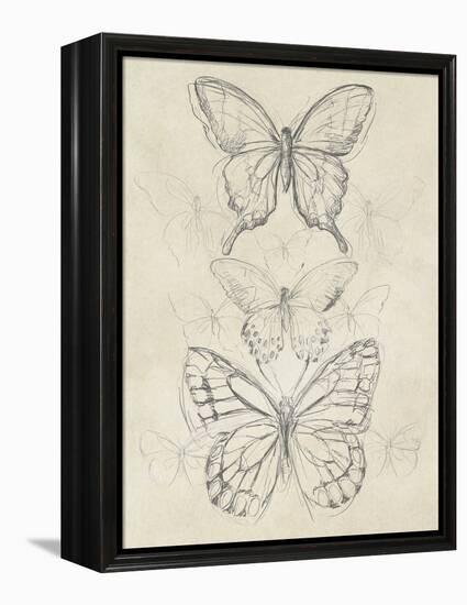 Vintage Butterfly Sketch II-June Erica Vess-Framed Stretched Canvas