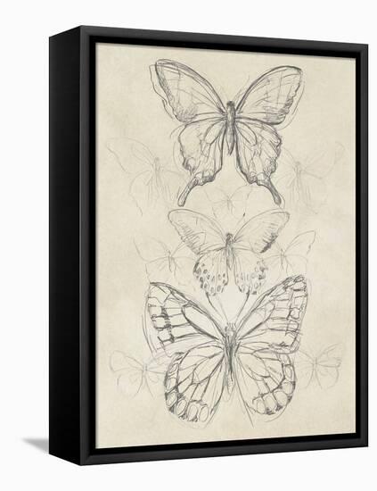 Vintage Butterfly Sketch II-June Erica Vess-Framed Stretched Canvas
