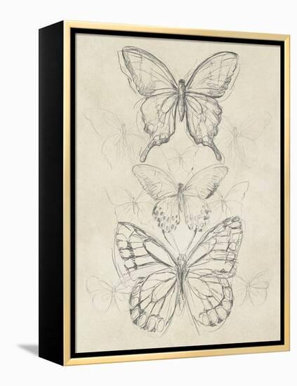 Vintage Butterfly Sketch II-June Erica Vess-Framed Stretched Canvas