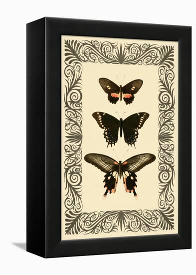 Vintage Butterfly Trio-null-Framed Stretched Canvas