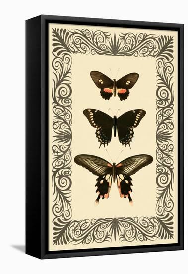 Vintage Butterfly Trio-null-Framed Stretched Canvas