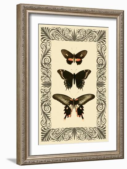 Vintage Butterfly Trio-null-Framed Art Print