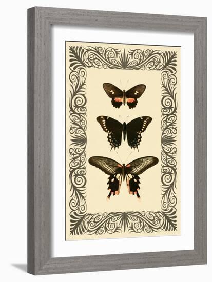 Vintage Butterfly Trio-null-Framed Art Print