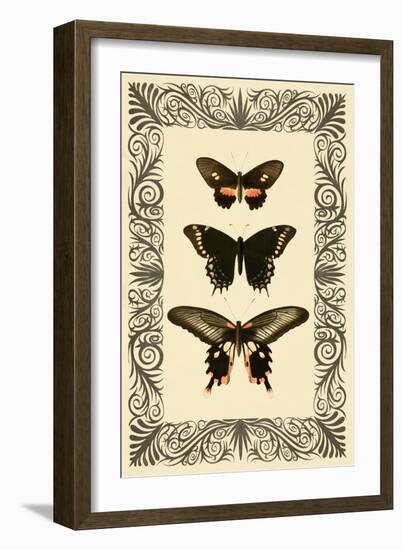 Vintage Butterfly Trio-null-Framed Art Print