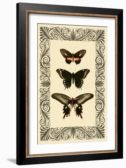 Vintage Butterfly Trio-null-Framed Art Print