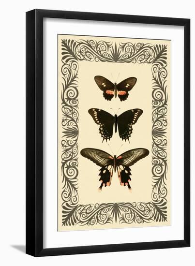 Vintage Butterfly Trio-null-Framed Art Print