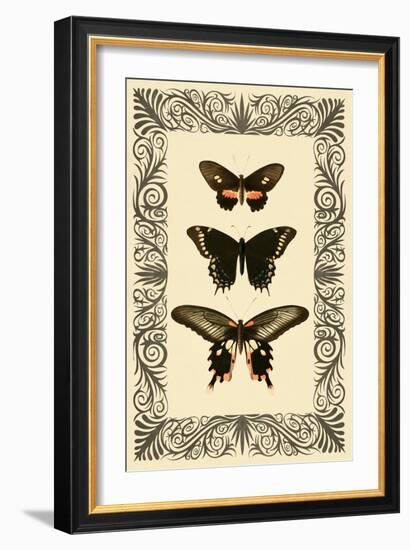 Vintage Butterfly Trio-null-Framed Art Print