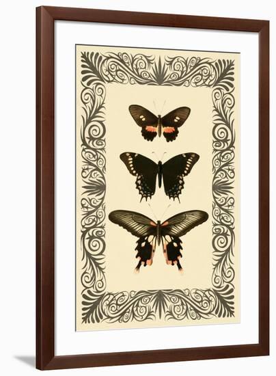 Vintage Butterfly Trio-null-Framed Art Print