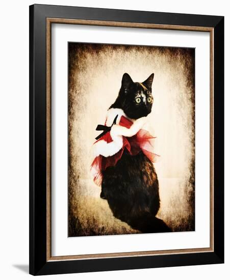 Vintage Christmas Kitten-Jai Johnson-Framed Giclee Print